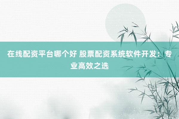在线配资平台哪个好 股票配资系统软件开发：专业高效之选