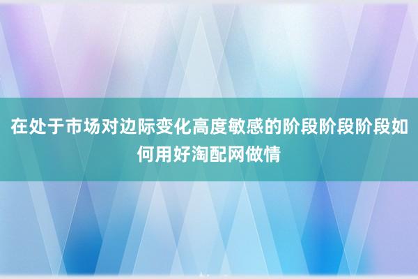 在处于市场对边际变化高度敏感的阶段阶段阶段如何用好淘配网做情