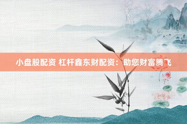 小盘股配资 杠杆鑫东财配资：助您财富腾飞