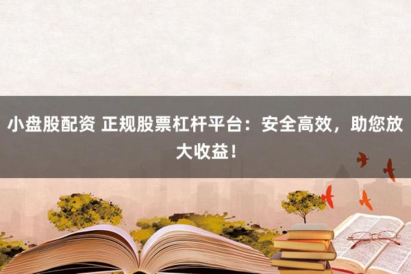 小盘股配资 正规股票杠杆平台：安全高效，助您放大收益！