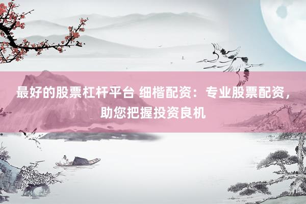 最好的股票杠杆平台 细楷配资：专业股票配资，助您把握投资良机